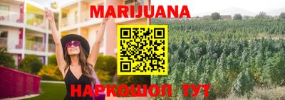 сатива Рузаевка