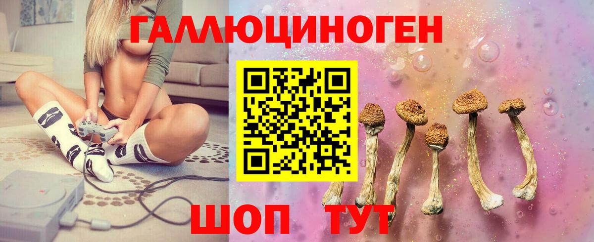 Унеча  Псилоцибиновые грибы Magic Shrooms  сколько стоит  Псилоцибиновые грибы MAGIC MUSHROOMS  Вход с VPN 